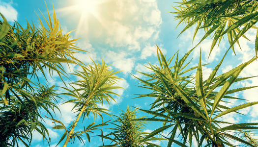 1595535153561.png 1595535153561.png