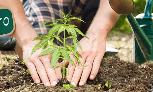 1595535190731.png 1595535190731.png