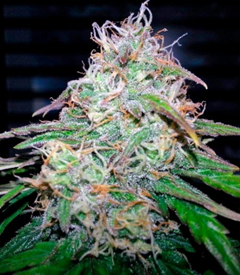 1591717852114.png 1591717852114.png