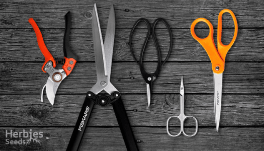 1596029920609.png 1596029920609.png