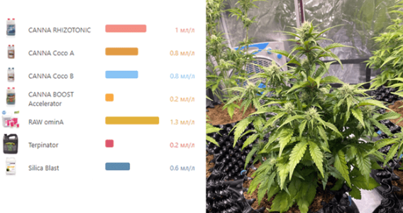 1596122495953.png 1596122495953.png