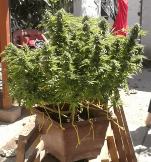 1596390192771.png 1596390192771.png