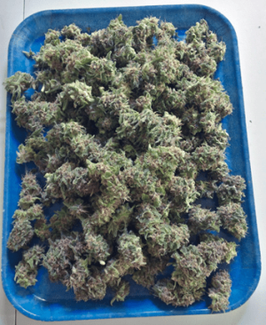 1598993545160.png 1598993545160.png