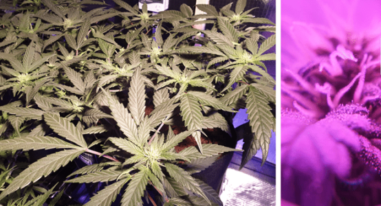 1599387801230.png 1599387801230.png