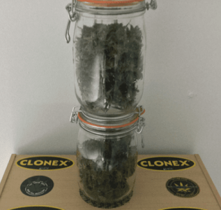 1600009815490.png 1600009815490.png