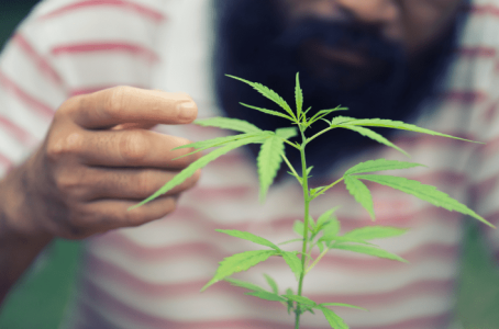 1605189299697.png 1605189299697.png