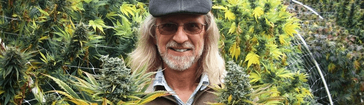 1605189445309.png 1605189445309.png