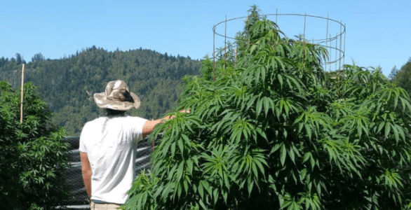 1605189599124.png 1605189599124.png