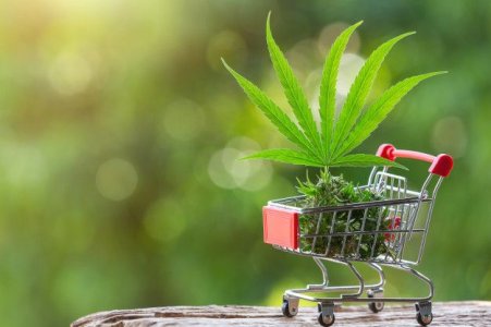 cannabis-leaves-and-shoots-placed-in-a-shopping-cart_1150-19252.jpg