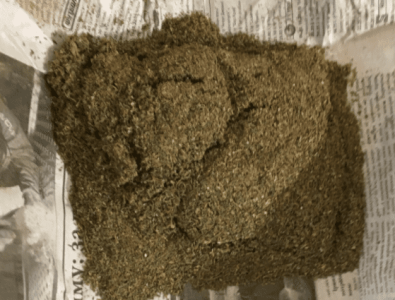 1607278858234.png 1607278858234.png