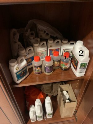 FB277531-D8F2-41A3-AF8A-651F2EAC3831.jpeg FB277531-D8F2-41A3-AF8A-651F2EAC3831.jpeg