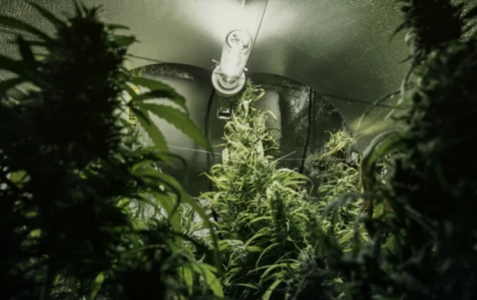 1647724224582.png 1647724224582.png