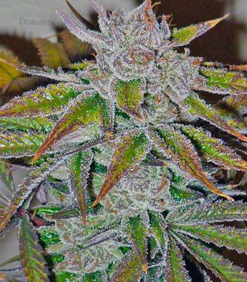 1647891618420.png 1647891618420.png