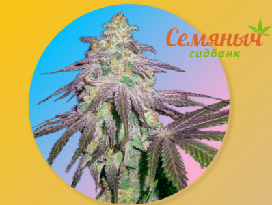 1648744215784.png 1648744215784.png