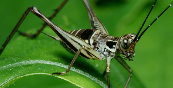 1649090151843.png 1649090151843.png