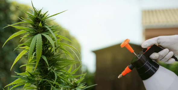 1649090252550.png 1649090252550.png