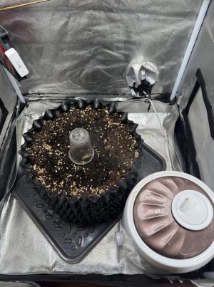 2024-11-02_15-33-05 — копия.jpg