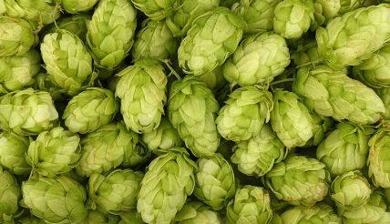 1731407620024.png 1731407620024.png