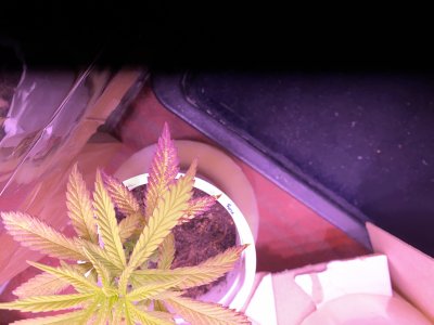 qqqqq.jpeg qqqqq.jpeg