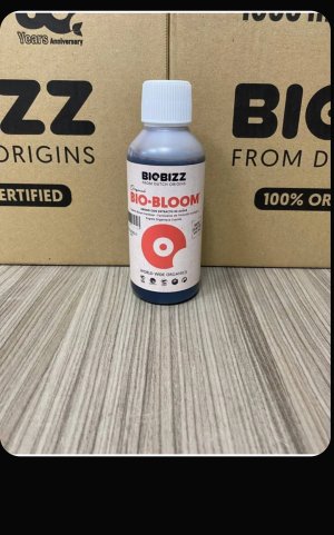 Screenshot_2024-11-18-14-28-49-199_ru.ozon.app.android-edit.jpg Screenshot_2024-11-18-14-28-49-199_ru.ozon.app.android-edit.jpg