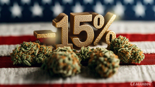 1732274964435.png 1732274964435.png