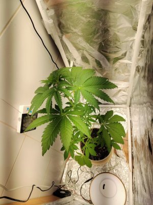 photo_2024-11-25_12-06-47 (4).jpg