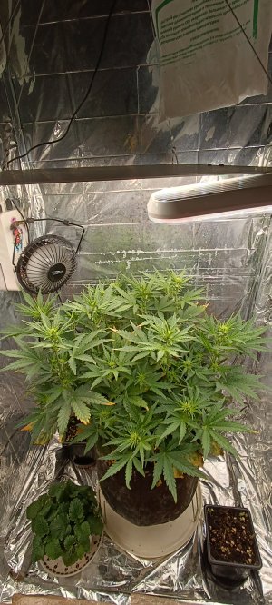 IMG_20241203_093713.jpg IMG_20241203_093713.jpg