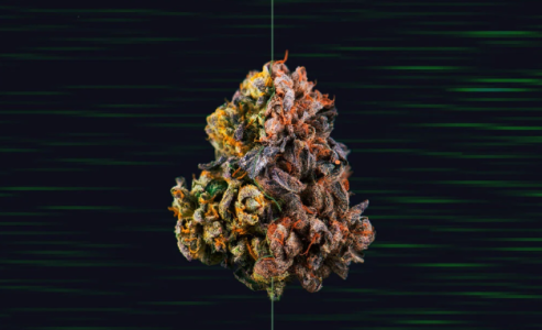 1733999470323.png 1733999470323.png