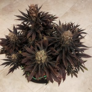 123123123.jpg 123123123.jpg