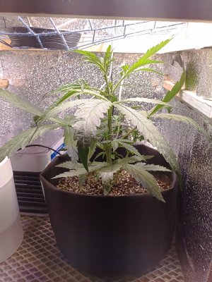 zE-MUCZzpUU.jpg zE-MUCZzpUU.jpg