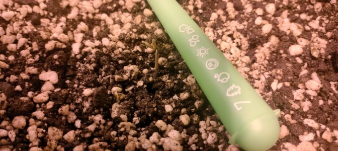 Изображение WhatsApp 2025-01-26 в 12.37.58_5ad60538.jpg