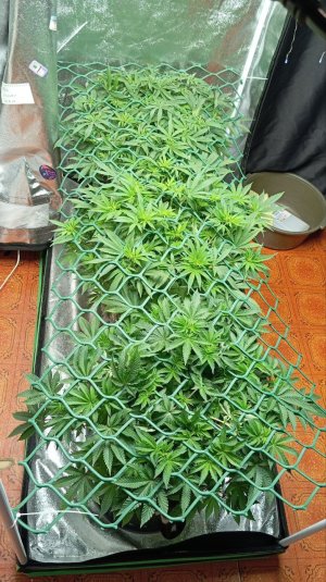 photo_2025-02-28_16-27-44 (2).jpg