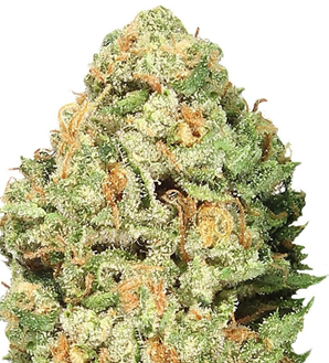 1740817560607.png 1740817560607.png