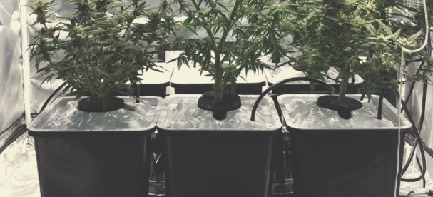 1741015177120.png 1741015177120.png