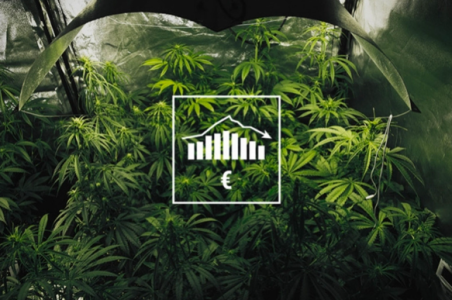 1741244490309.png 1741244490309.png