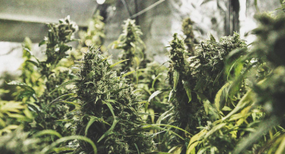 1741244742773.png 1741244742773.png