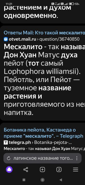Screenshot_2025-03-10-11-21-35-314_com.yandex.browser.jpg