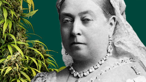 1742316733950.png 1742316733950.png