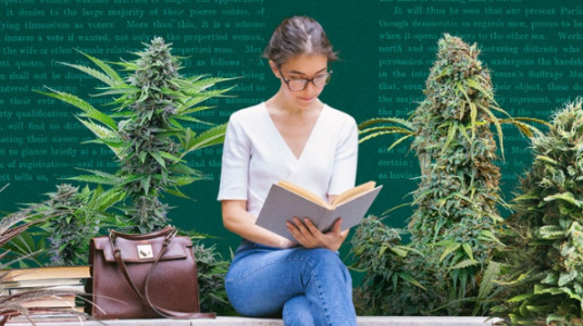 1743144852825.png 1743144852825.png