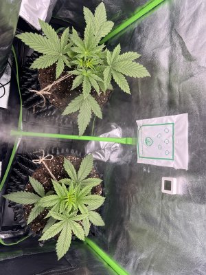 IMG_6201.jpeg IMG_6201.jpeg