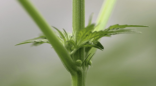 1743581221935.png 1743581221935.png