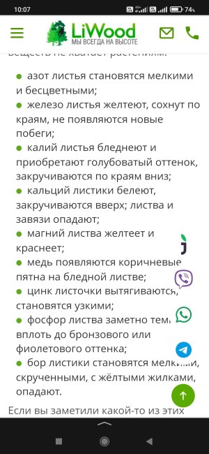Screenshot_2025-02-06-10-07-15-695_ru.yandex.searchplugin.jpg