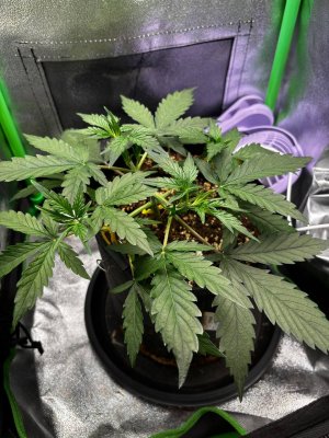 photo_2025-04-05_20-24-56 (2).jpg