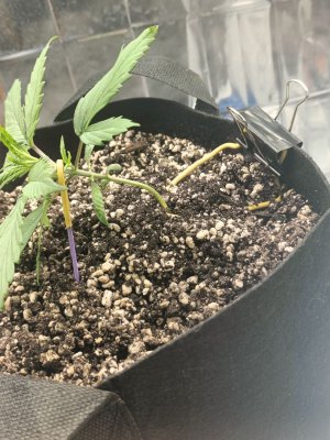 photo_2025-04-11_15-21-29 (2).jpg