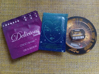 1000017256.jpg 1000017256.jpg