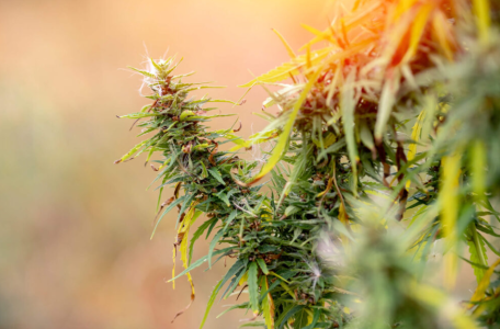 1745437297289.png 1745437297289.png