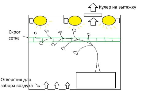 photo_5222256873170923140_y.jpg photo_5222256873170923140_y.jpg