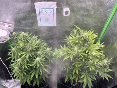 IMG_6710.jpeg IMG_6710.jpeg