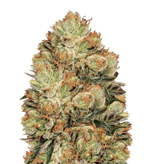 1746111734019.png 1746111734019.png