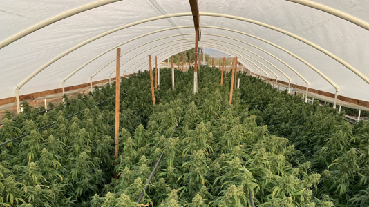 1746111807023.png 1746111807023.png